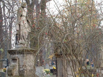 opieka nad grobami w rzeszowie mycie grobw rzeszw cmentarz